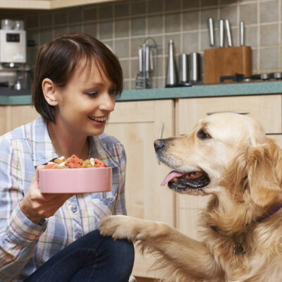 Essential Nutrition for Dog Health