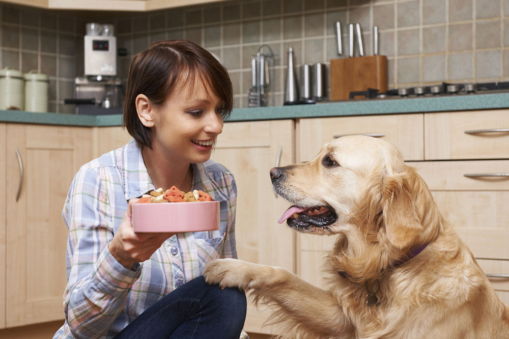 Essential Nutrition for Dog Health